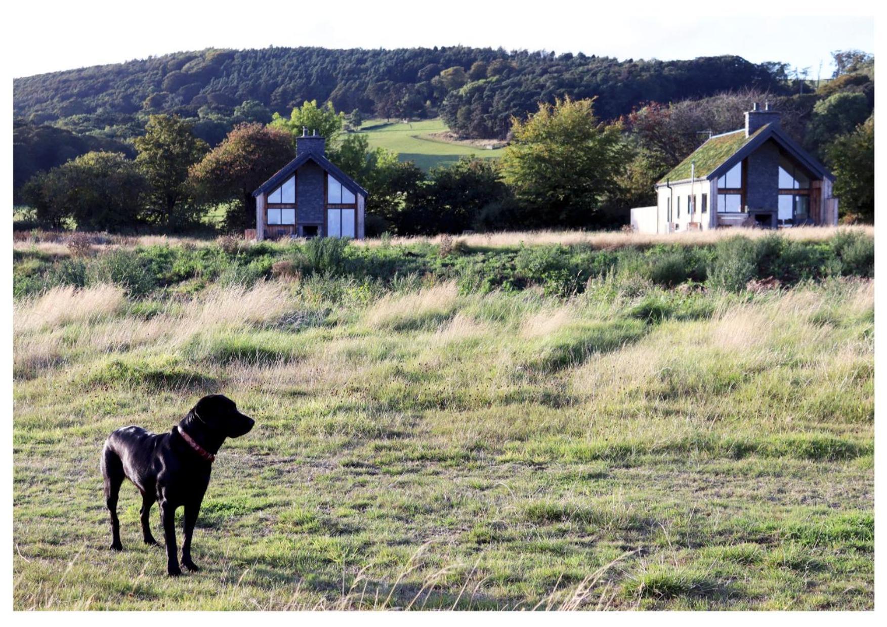 Colinsburgh Eco-Lodge With Sea View Charleton Estate מראה חיצוני תמונה
